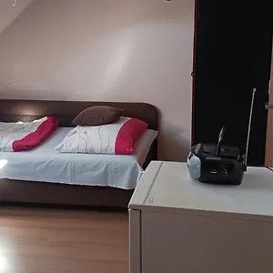 Central Apartman Homestay